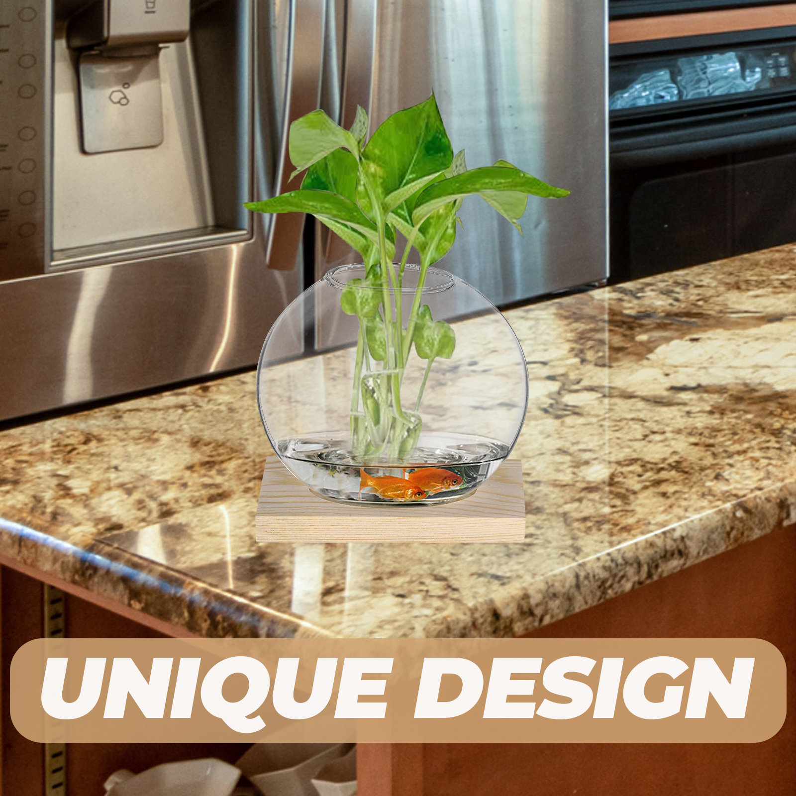 Propagation Station Vase - 2 Sets kleine Glasvase für Pflanzen