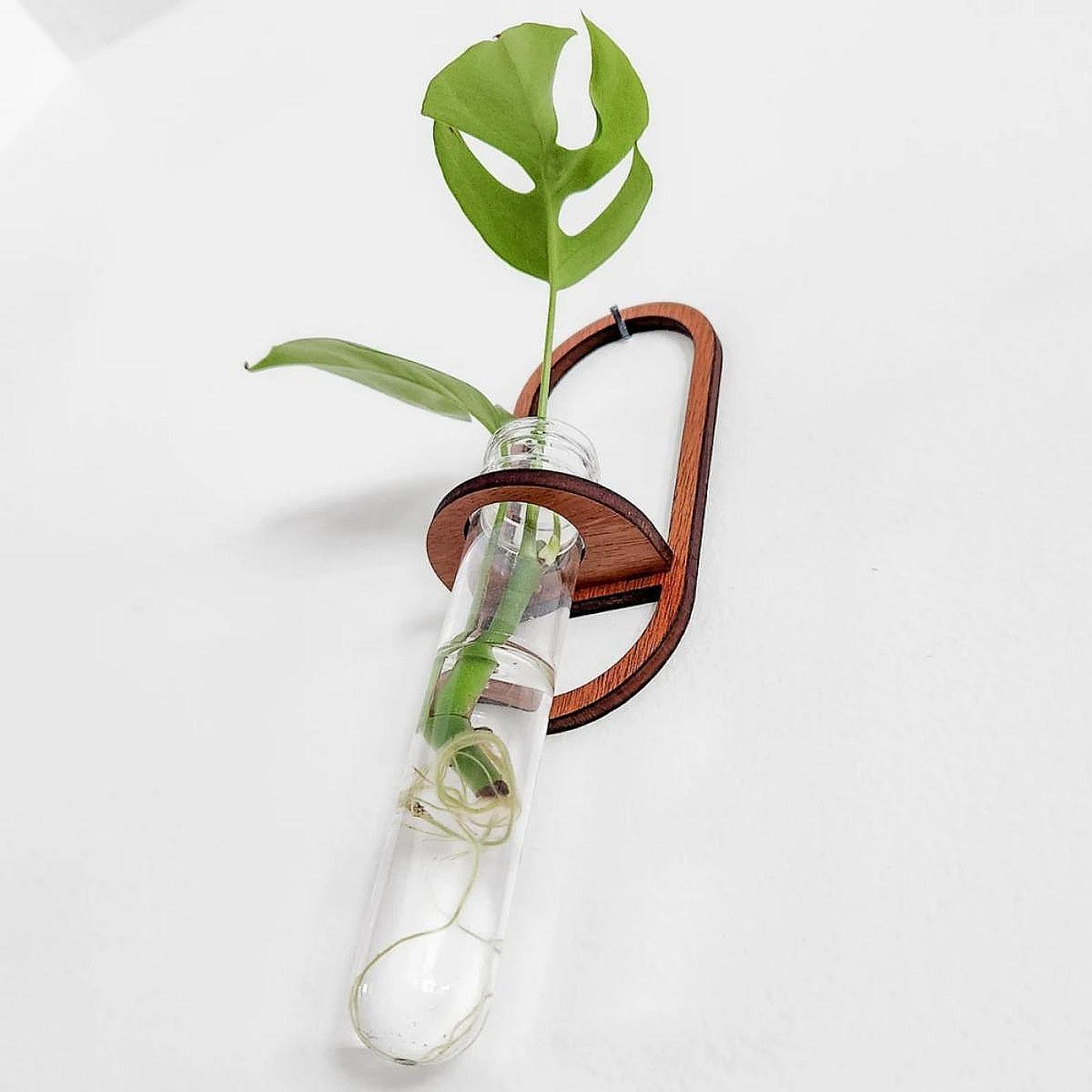 Hydroponische Pflanzenvase, Ho – Propagation Station Vase Bewertung und Preis