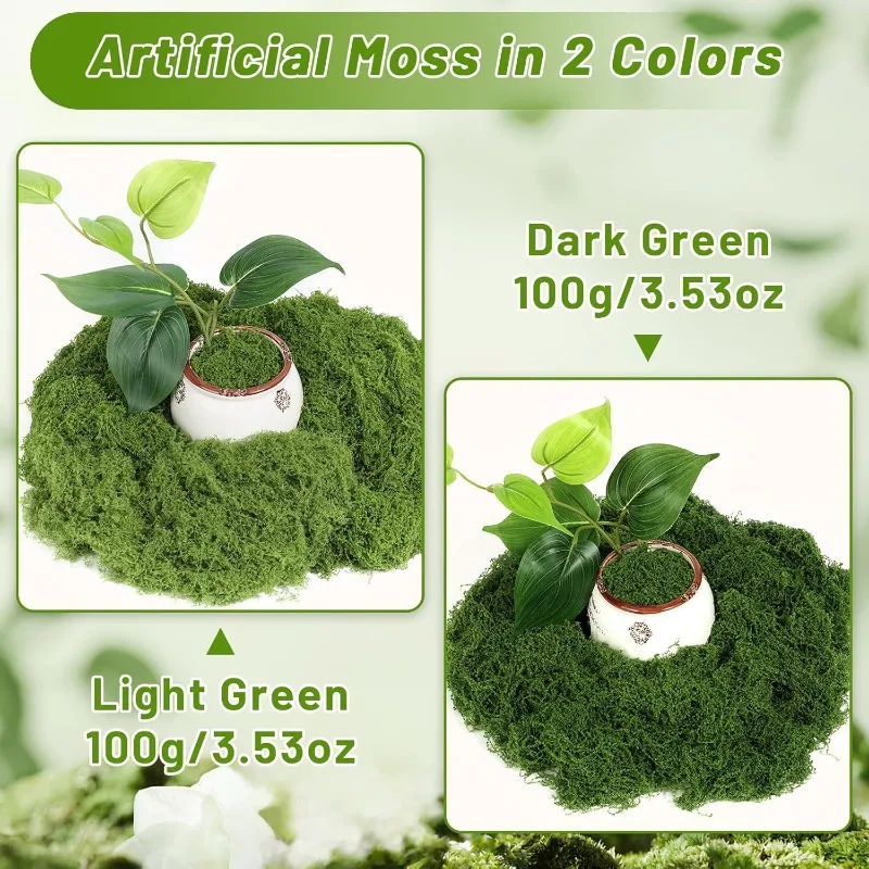 Ewiges Leben Moosgras Künstlic – Sphagnum Moss Dry Bewertung und Preis