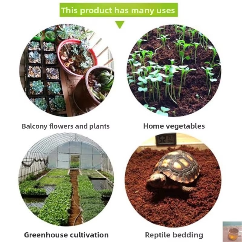 Reptilien-Unterlage Komprimier – Sphagnum Moss Dry Bewertung und Preis