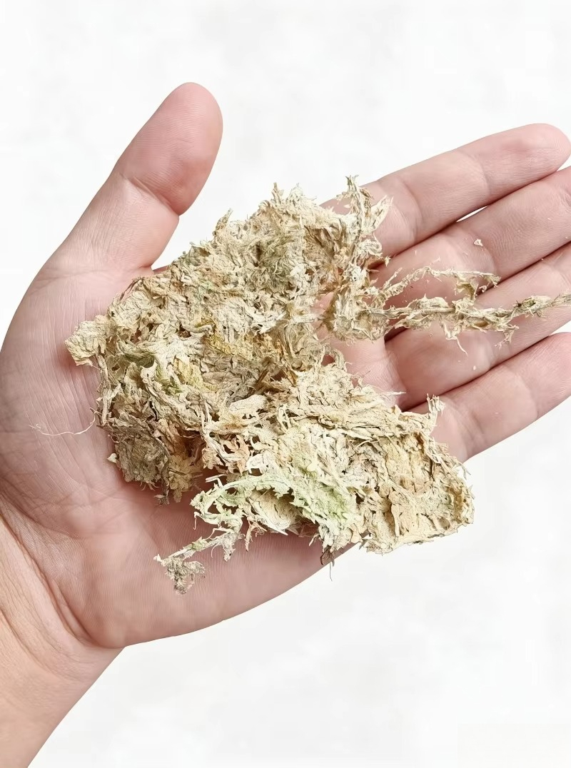 Premium-Sphagnummoos für Orchi – Sphagnum Moss Dry Bewertung und Preis