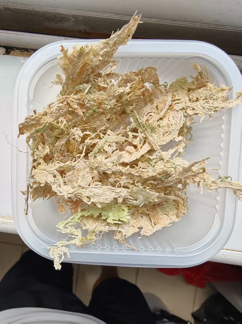 Premium-Sphagnummoos für Orchi – Sphagnum Moss Dry Bewertung und Preis