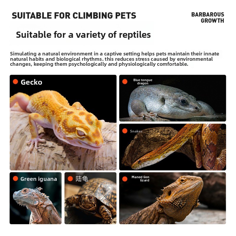 Kiefernrinde Reptilienunterlag – Sphagnum Moss Dry Bewertung und Preis
