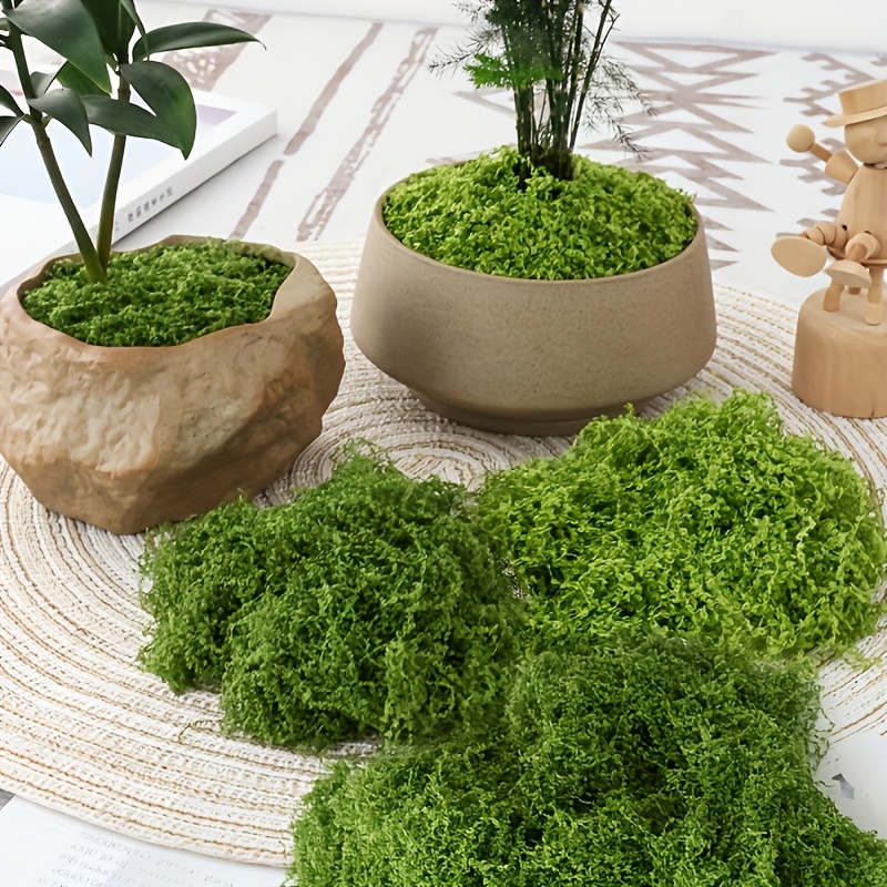 Großpackung, realistisches kün – Sphagnum Moss Dry Bewertung und Preis